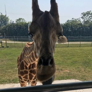 Meet your Posher, Meara